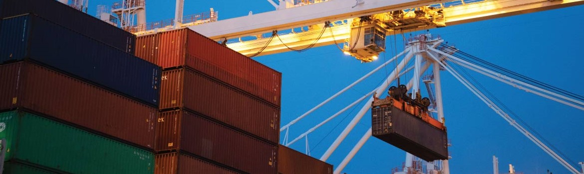 Unlocking the Potential of RFID Hard Tags: Use Cases and Features - SIVA IoT