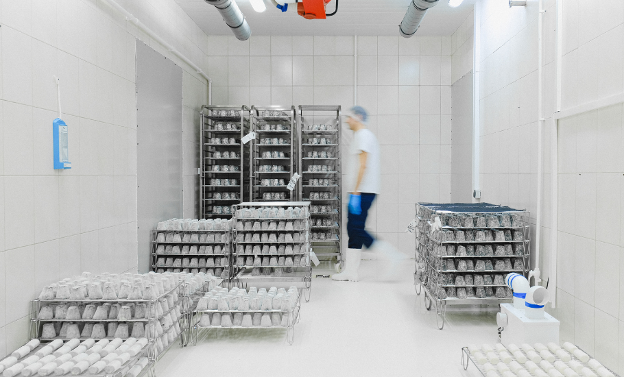Unlocking Efficiency with Temperature Sensing UHF Labels